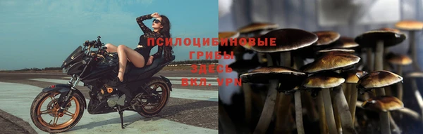 молекула духа Кадников