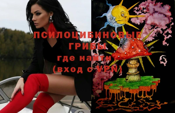 твердый Тайга
