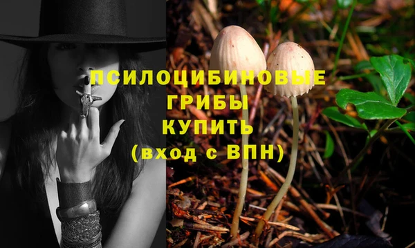первитин Верхний Тагил