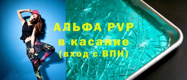 твердый Тайга