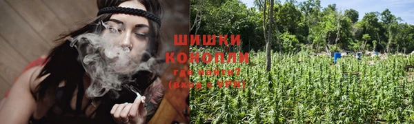 стафф Сясьстрой