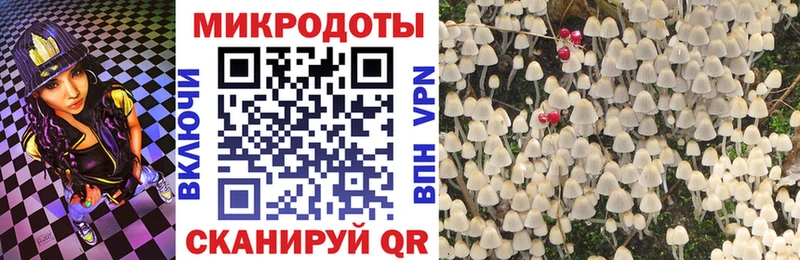 Псилоцибиновые грибы MAGIC MUSHROOMS Когалым